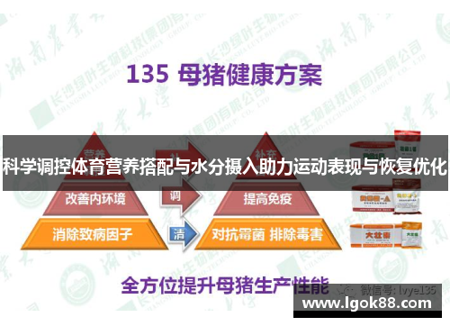 科学调控体育营养搭配与水分摄入助力运动表现与恢复优化